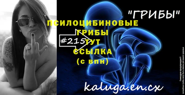 синтетический гашиш Переславль-Залесский