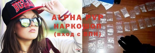 дмт Пересвет